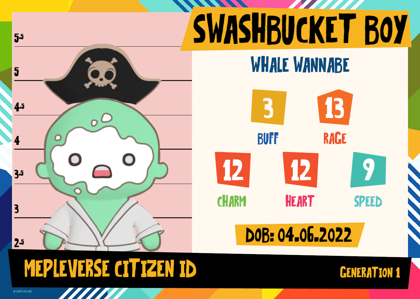 SWASHBUCKET BOY